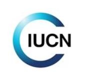 Accountant, Asia Regional Office/เจ้าหน้าที่บัญชี